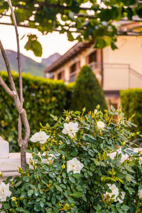 Villa Divina Costiera Agerola Exterior foto